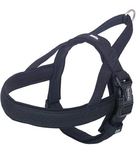 Nobby Leine FLASH MESH Rot – 120 Cm Lang, 25 Mm Breit, Mit Reflektorstreifen & USB-Aufladung, Bis 400 M Sichtbar