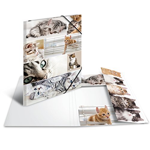 HERMA 19219 Cart n Multicolor - Carpeta Cart n Multicolor A3 reviews HERMA 19219 Cart n Multicolor - Carpeta Cart n Multicolor A3