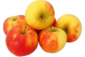 ‎LAMERA Apples Elstar from Lake Constance Fine-Sour Apple 1-10 kg (5) New Harvest 2025