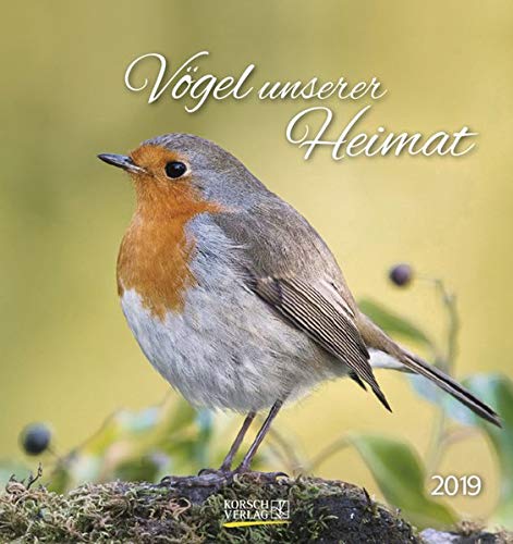 Vögel unserer Heimat (PK) 234219 2019: Aufstellbarer Postkartenkalender mit Bildern von Vögeln in der Natur der Heimat. Tisch- und Wandkalender.