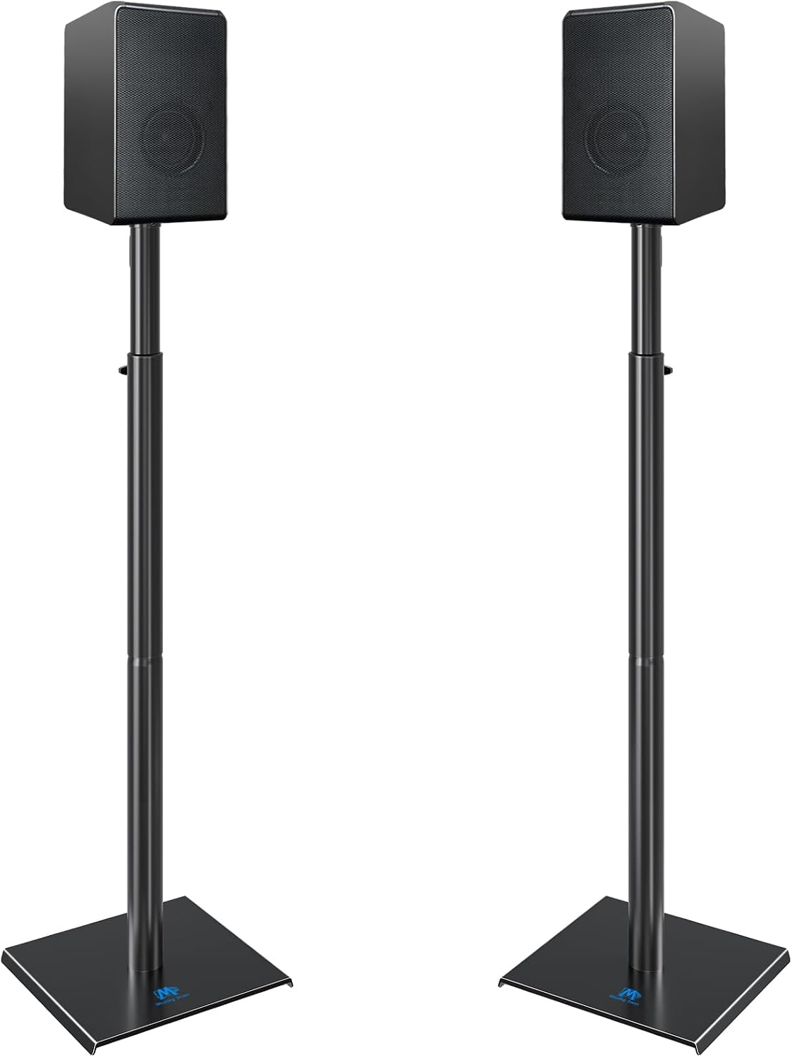 Vue 5