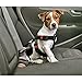 Produktbild Karlie Auto-Sicherheitsgurt, speziell für Hunde, auch als Geschirr einsetzbar
