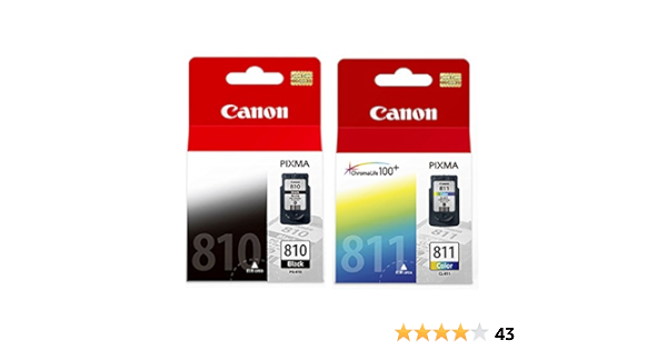 canon printer ink 810