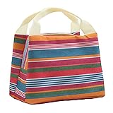 Impermeable: La tela de bolsa es impermeable para proteger latas, frutas, aperitivos en mal tiempo