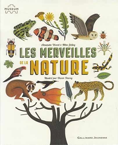<a href="/node/27473">Les merveilles de la nature</a>
