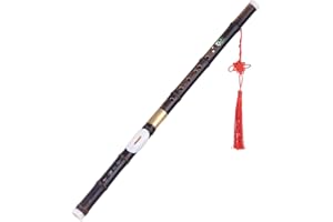 YIWENG Strumento tradizionale cinese,Detchable Natural Black Bawu Ba Wu Flauto Traverso strumento musicale tubo a Key G per principianti amanti della musica come regalo