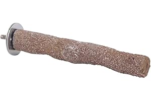 NORTHERN PARROTS Beach Branch Perch - Small - Edible Parrot Budgie Perch