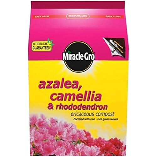 Amazon.co.uk azaleas compost