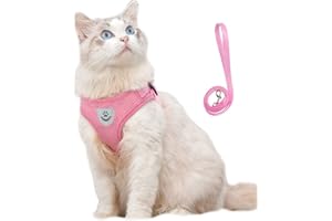 Anlitent Soft Mesh No Pull Cat Harness and Lead Set for Walking, Escape Proof Kitten Vest Harnesses for Small Animals Rabbit/Mouse/Cats, Cool Cat Collar Estra Small