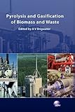 Image de Pyrolysis and Gasification of Biomass and Waste