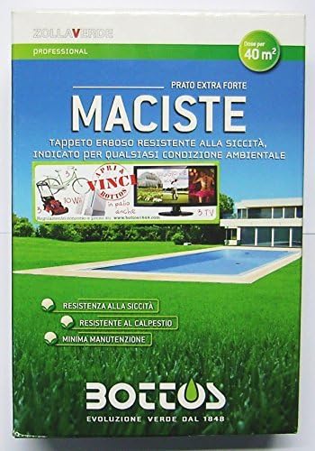 Maciste - Seeds for carpet grassy - Ideal for zone arid regions - 1 Kg