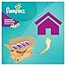 Pampers Active Fit Size 4+ (Maxi+) Monthly Pack - 140 Nappies