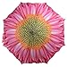 Produktbild Regenschirm, Stockschirm Blume Blüte Gerbera pink gelb Ø105 cm L. 82cm Esschert