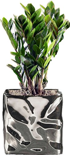 Blumentopf Übertopf Keramik silber sehr hochwertig 12cm hoch, Blumentöpfe Übertöpfe - 3