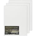 Centurion Deluxe Professional Oil Primed Linen Canvas Panels - 12x24-3 Pack of Linen Canvases for Painting, Artwork and More