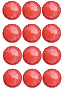 VINSHRA Plastic Pot Bottom Trays, Red, 12 inch, 12 Pieces