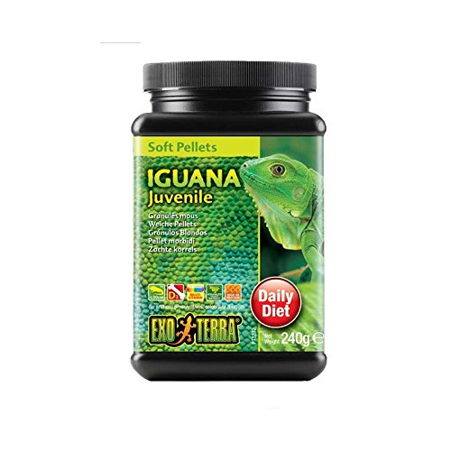 Preisvergleich Produktbild Essen für Iguana Exo Terra