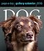 Produktbild Dog 2016 Gallery Calendar (2016 Calendar)