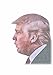 Produktbild Fenstersticker für dein Auto - Donald Trump