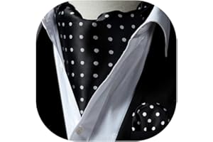 HISDERN Cravats for Men Silk Paisley Cravat and Handkerchief Polka dots Ascot Tie & Pocket Square Set for Wedding Party Business