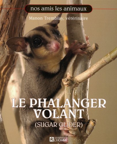 couverture de : Le phalanger volant