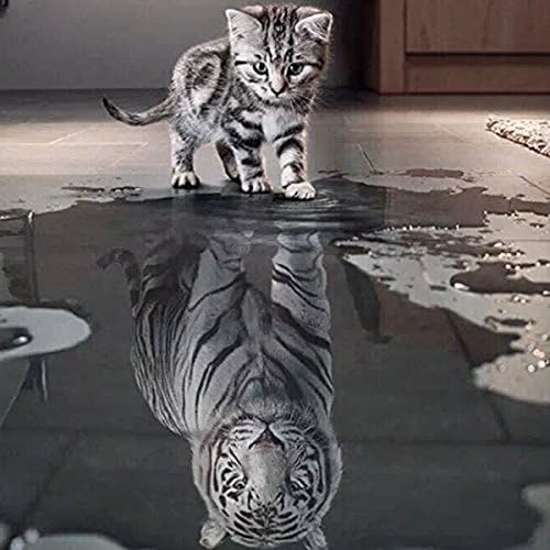 INSANY 5D Full Diamond Painting, DIY Handmade Crystal Rhinestone Embroidery Pictures Arts Craft for Home Wall Decor Cat and Tiger 40*30 cm (15.7*11.8 inch)