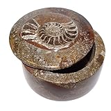 Ammonit Fossil Dose Ammonit Fossil Dose aus Jura Marmor braun rund mit Deckel aus Marokko ca.50 x 65 mm.(4254)