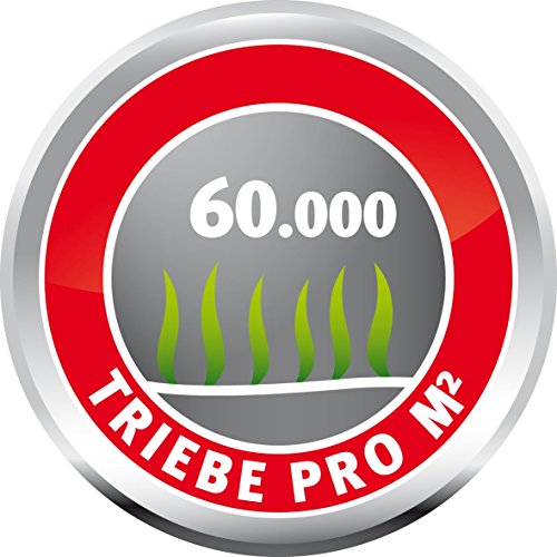 WOLF-Garten Sport- und Spiel-Rasen LG 125; 3825020 - 2