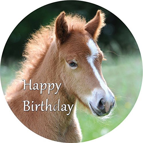 Preisvergleich Produktbild Tortenaufleger Pferd2 / 20 cm Ø