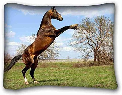 Custom Cotton &amp; Polyester Soft Animal Pillowcase Standard Size 20"X26" Design Pillow Case Cover suitable for Twin-bed