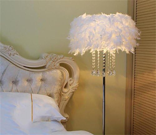 MENA HOME- European Style Simple Fashion Feather Floor Lamp Crystal Floor Lamp (button Switch) ( Color : A )