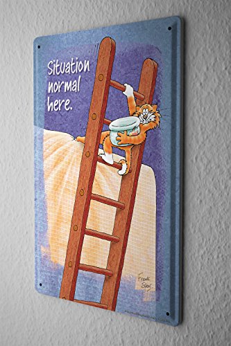 Preisvergleich Produktbild Blechschild Nostalgie Motiv Katze Leiter
