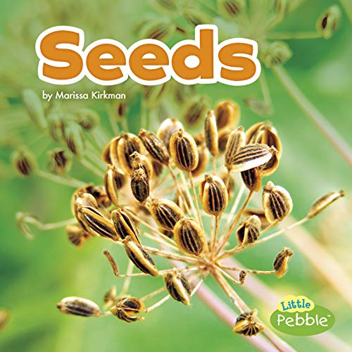 Seeds (Plant Parts)