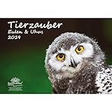 Exklusiv in diesem Angebot erhalten Sie zusätzlich 1 Grußkarte und 1 Weihnachtskarte jeweils im DIN-lang-Format (9,9 cm x 21,0 cm / 300 g/m²) mit passenden Umschlägen (selbstklebend, ohne Fenster)