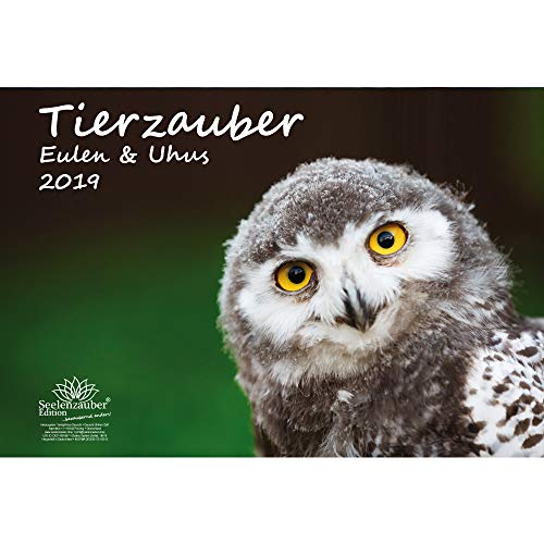 Download Seelenzauber Calendrier mural 2019 au motif hiboux et chouettes Format A3 Coffret cadeau avec 1 carte de vœux et 1 carte de Noël Oiseaux, volatiles, nature, animaux