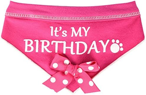 I See Spot It's My Birthday Pet Bandana Scarf in Hot Pink