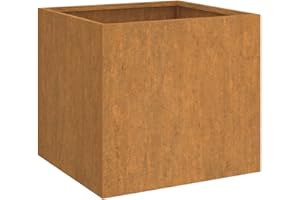 vidaXL Jardinière, Bac à Fleurs, Lit Surélevé, Pot de Plantes, Décoration de Jardin Patio Terrasse Extérieur, Rouillé 42x40x39 cm Acier Corten