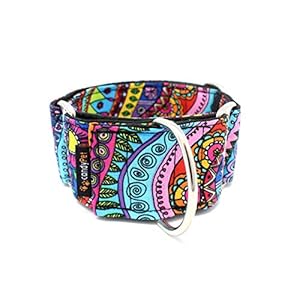 candyPet Collar Martingale Para Perros – Modelo Fantasia, S