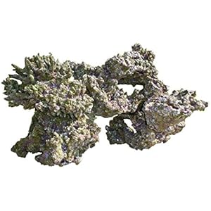 Haquoss Rock Viva in Harz 5, 47x 34x 26h cm