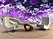 Produktbild Wand Drucken Poster Amethyst Druse Wall Art Dekor Fototapete Poster Hochwertiger Druck