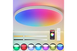 CANMEIJIA LED Ceiling Light IP44, 12 Inch 24W Smart Ceiling Lights RGB Dimmable with Remote Control Bathroom Lights 3000-6500K 2520LM for Living Room Bedroom Kitchen Hallway Round,White