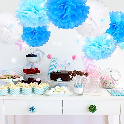 eBoot Seidenpapier Pom Poms PomPoms Blume für Hochzeit Dekoration Party Deko, 10 Zoll, 9 Stück - 2
