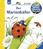 Cover zum Buch Der Marienkäfer