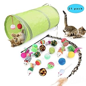 Sunshine smile Juguetes para Paquete de Variedad para Gatitos,Set di Juguetes para Gatos Interactivo Ratón,Juguetes para Gatos con Bolas Varita,Juguetes para Gatos con Plumas túnel (21 Piezas)