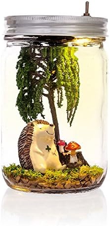 Night Light for Kids, Marmelada Lights, Story in a Jar Mr.Hedgehog, , LED Bedside Kids, Baby, Children Night Lamp Bookshelf or Tabletop, Battery operated 2 months runtime.
