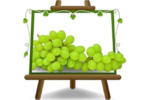 EURO PLANTS VIVAI Vite Apirene Sultanina - Pianta da Frutto Antico su Portainnesto su Vaso da 20 - Altezza 150~170 cm - Età 2 Anni