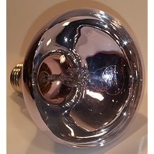 TerraMira 75 Watt Neodymium Tageslicht Lampe (halogen daylight)