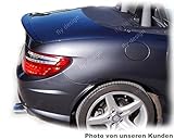  Car-Tuning24 51236815 wie AMG R 172 SLK Roadster SPOILER HECKFLÜGEL AMG Typ A LIPPE * SILBER 744