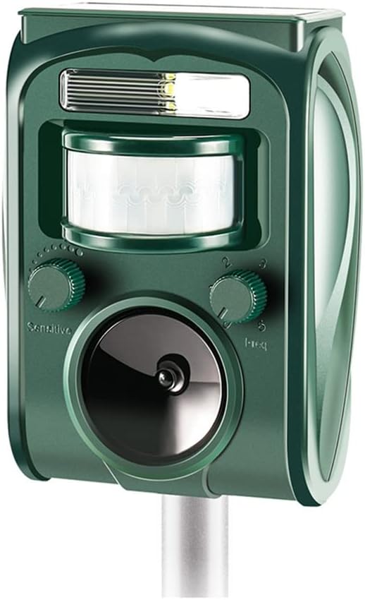 Vue 12