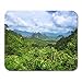 Produktbild Luancrop Mausunterlage Bunter Regenwald Nationalparks Khao Sok in Thailand Mousepad für Notizbücher, Tischrechner-Mausunterlagen, Büroartikel